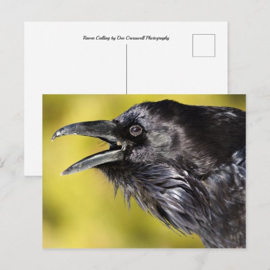 Raven Calling Briefkaart (Voorkant / Achterkant)