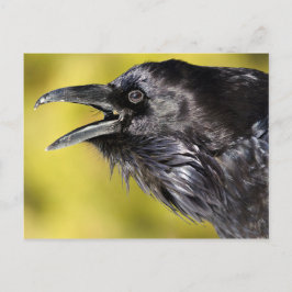 Raven Calling Briefkaart