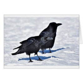 Raven Card