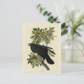 Raven (Common Raven) van Audubon Birds of America Briefkaart (Staand voorkant)