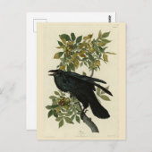 Raven (Common Raven) van Audubon Birds of America Briefkaart (Voorkant / Achterkant)