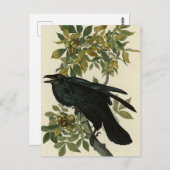 Raven (Common Raven) van Audubon Birds of America Briefkaart (Voorkant / Achterkant)
