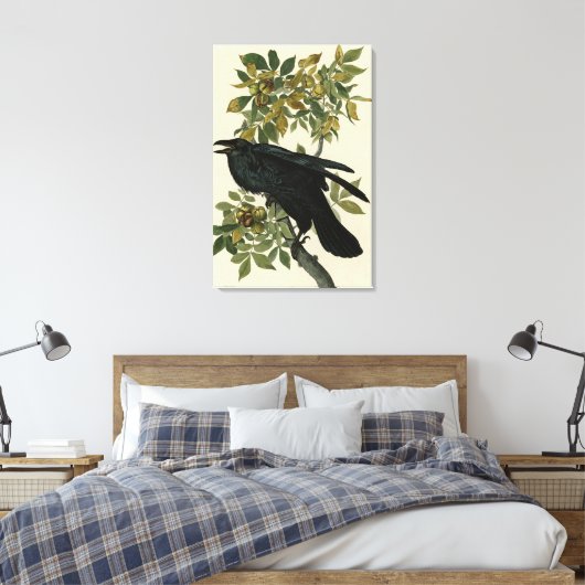 Raven (Common Raven) van Audubon Birds of America Canvas Afdruk (Insitu (Slaapkamer))