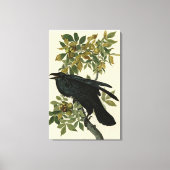 Raven (Common Raven) van Audubon Birds of America Canvas Afdruk (Voorkant)