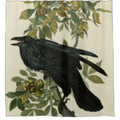 Raven (Common Raven) van Audubon Birds of America Douchegordijn (Voorkant)