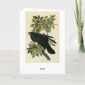 Raven (Common Raven) van Audubon Birds of America Kaart (Achterkant)