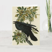 Raven (Common Raven) van Audubon Birds of America Kaart (Voorkant)