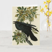 Raven (Common Raven) van Audubon Birds of America Kaart (Gele Bloem)