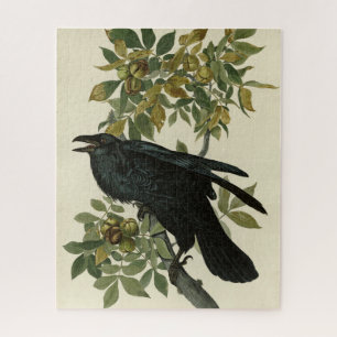 Raven (Common Raven) van Audubon Birds of America Legpuzzel
