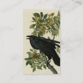 Raven (Common Raven) van Audubon Birds of America Visitekaartje (Achterkant)