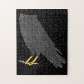 Raven Costume Halloween Black Crow Easy Lazy Legpuzzel (Verticaal)