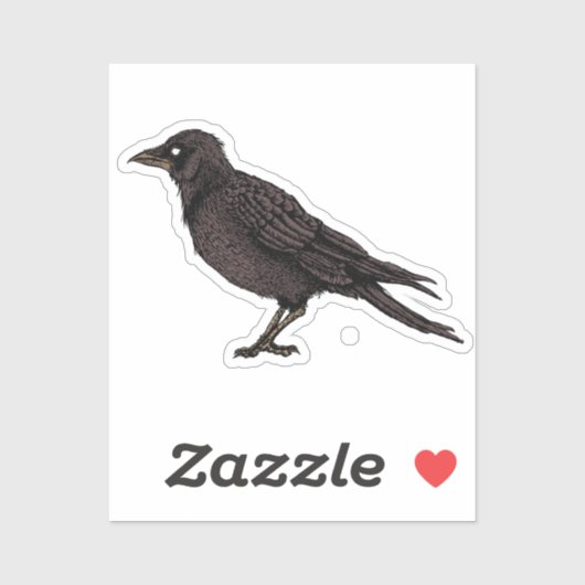 Raven Creepy Crow Bright Gothic Ink Art Sticker (Vel)