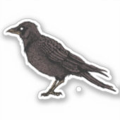 Raven Creepy Crow Bright Gothic Ink Art Sticker (Voorkant)