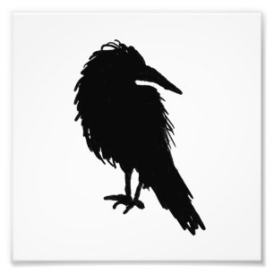 Raven Crow Black Bird Dierenkunst Foto Afdruk