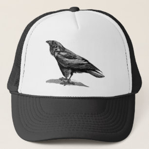 Raven Crow Blackbird Bird Illustratie Trucker Pet