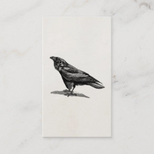 Raven Crow Blackbird Bird Illustratie Visitekaartje