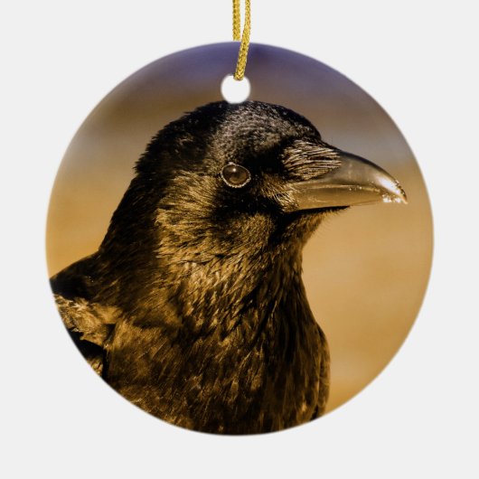 Raven Crow Gothic Fantasy Black Bird Natuur Keramisch Ornament (Voorkant)