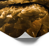 Raven Crow Gothic Fantasy Black Bird Natuur Poster (Hoek)