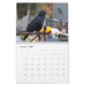 Raven Crow Kalender 2027 (Jan 2027)