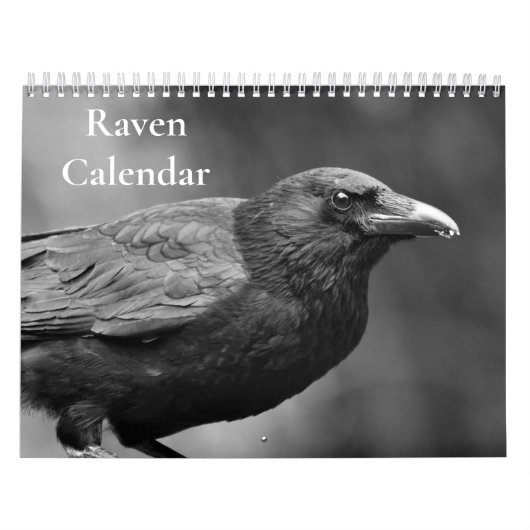 Raven Crow Kalender 2027 (Hoes)