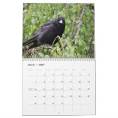 Raven Crow Kalender 2027 (Mar 2027)