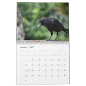 Raven Crow Kalender 2027 (Jan 2027)
