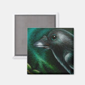 RAVEN CROW NORTHERN LIGHTS MAGNEET (Voorkant / Achterkant)