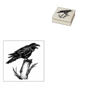 Raven Crow op Tak Pen & Inkttekening Halloween Rubberstempel (Gestempeld)