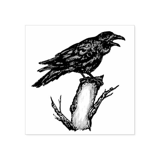 Raven Crow op Tak Pen & Inkttekening Halloween Rubberstempel (Afrduk)