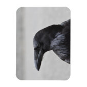 Raven de Magnificent! Magneet (Verticaal)