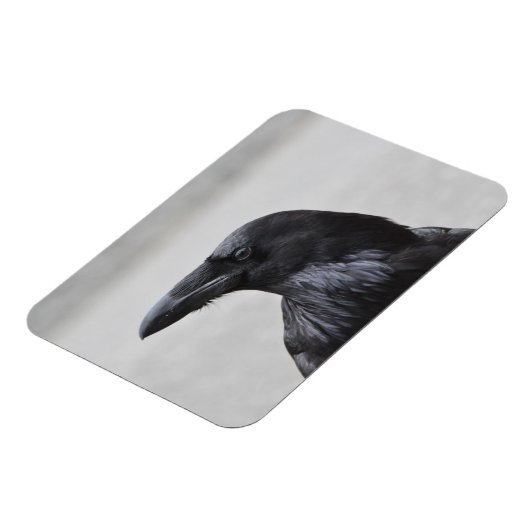 Raven de Magnificent! Magneet (Linkerzijde)