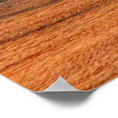 RAVEN ECLIPSE POSTER (Hoek)