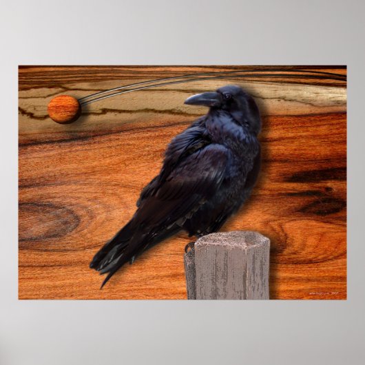 RAVEN ECLIPSE POSTER (Voorkant)