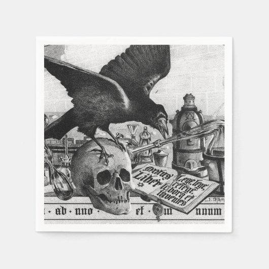 Raven en Human Skull Servetten (Voorkant)
