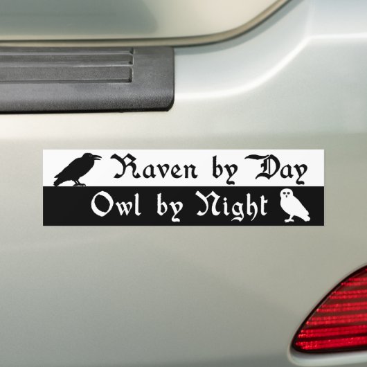 Raven en Uil Bumpersticker (Op auto)