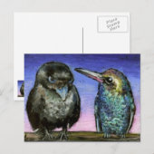 Raven- en vochtige vogel briefkaart (Voorkant / Achterkant)