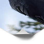 Raven Foto Afdruk (Hoek)