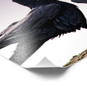 Raven-fotoafdrukken weergeven foto afdruk (Hoek)