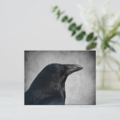 Raven Glamor Shot Briefkaart (Staand voorkant)