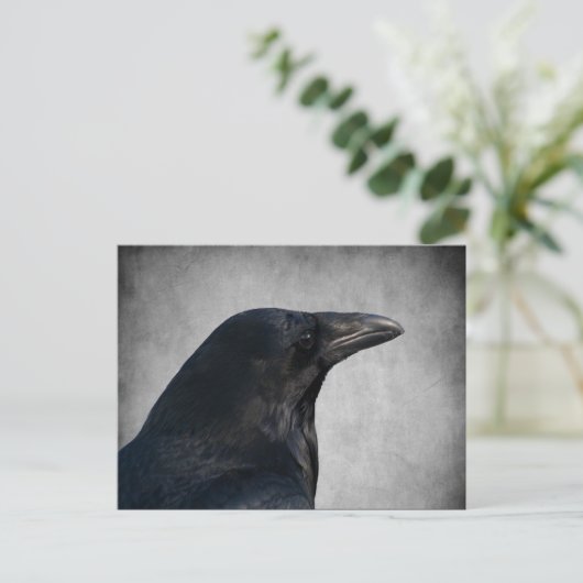 Raven Glamor Shot Briefkaart (Staand voorkant)
