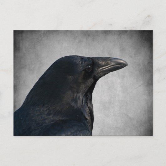 Raven Glamor Shot Briefkaart (Voorkant)