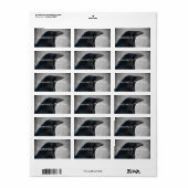 Raven Glamor Shot Etiket (Full Sheet)