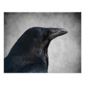 Raven Glamor Shot Foto Afdruk (Voorkant)