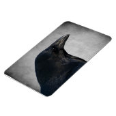 Raven Glamor Shot Magneet (Linkerzijde)