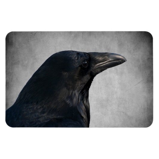 Raven Glamor Shot Magneet (Horizontaal)