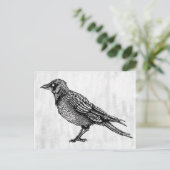 Raven Gothic Black en White Horror Ink Tekening Briefkaart (Staand voorkant)