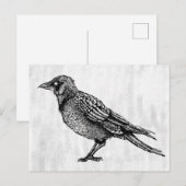 Raven Gothic Black en White Horror Ink Tekening Briefkaart (Voorkant / Achterkant)