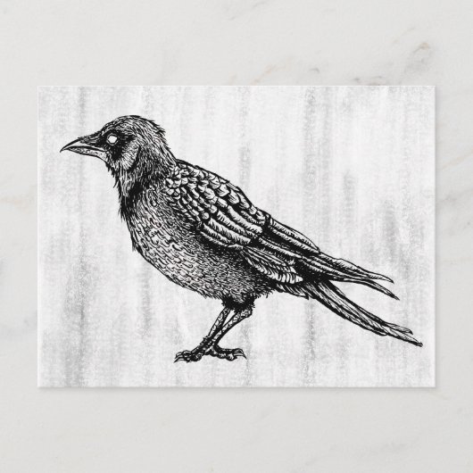 Raven Gothic Black en White Horror Ink Tekening Briefkaart (Voorkant)