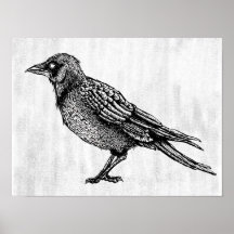 Raven Gothic Black en White Horror Ink Tekening