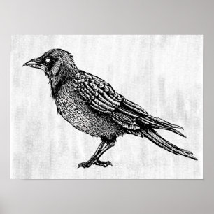 Raven Gothic Black en White Horror Ink Tekening Poster